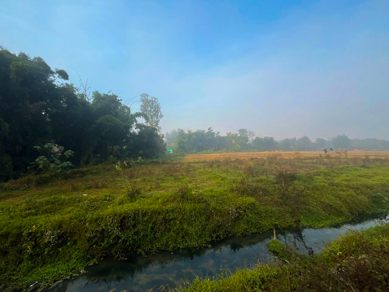 Tengdougyan